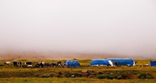 ادغام شتاب‌زده سازمان عشایر، خلائی خطرناک در حکمرانی