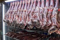 توزیع روزانه بیش از ۶۰ تن گوشت منجمد در بازارهای میوه و تره‌بار