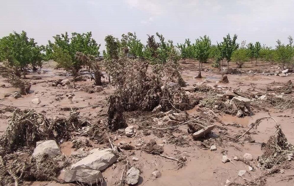 پرداخت بیش از ۱۵ هزار میلیارد ریال غرامت به کشاورزان خسارت‌دیده در نیمه نخست سال