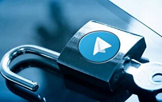 توافق با پلتفر‌م‌های خارجی باید به تصویب مجلس برسد +فیلم