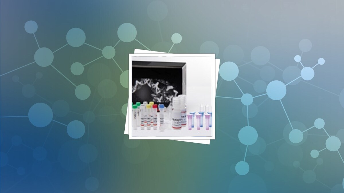 نوآوری دانشگاه آزاد کرمان در کیت استخراج ژنوم مبتنی بر فناوری نانو