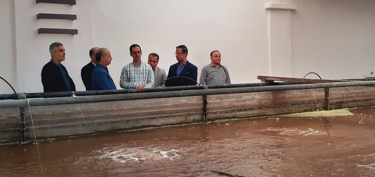 &laquo;بیوفلاک&raquo; دانشگاه آزاد؛ نقطه&zwnj; عطفی در تحول شیلات؛ فرصتی طلایی برای سرمایه&zwnj;گذاران