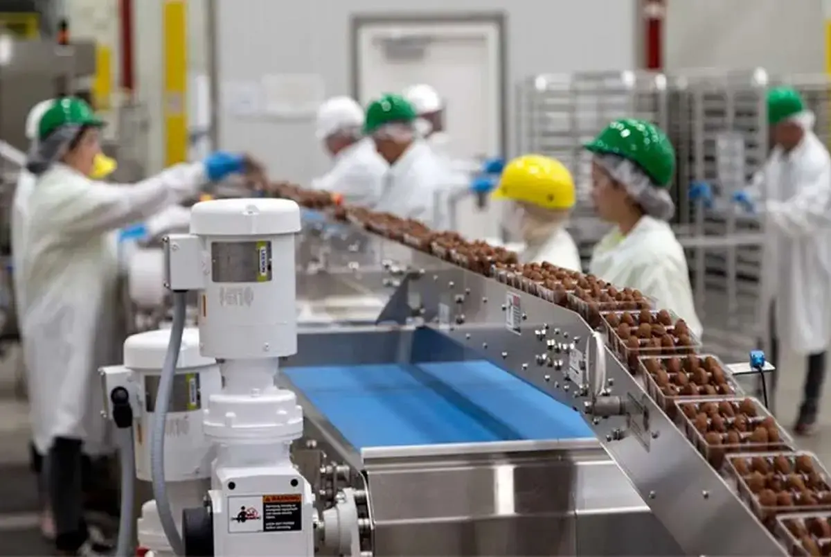 غذای روزانه؛ صنعتی پنهان در دل دولت  باید به اقتصاد غذا مثل یک صنعت نگاه کنیم، نه هزینه روزمره