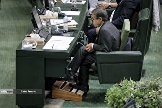 گفته‌ها و شنیده‌های خانه ملت در هفته‌ای که گذشت