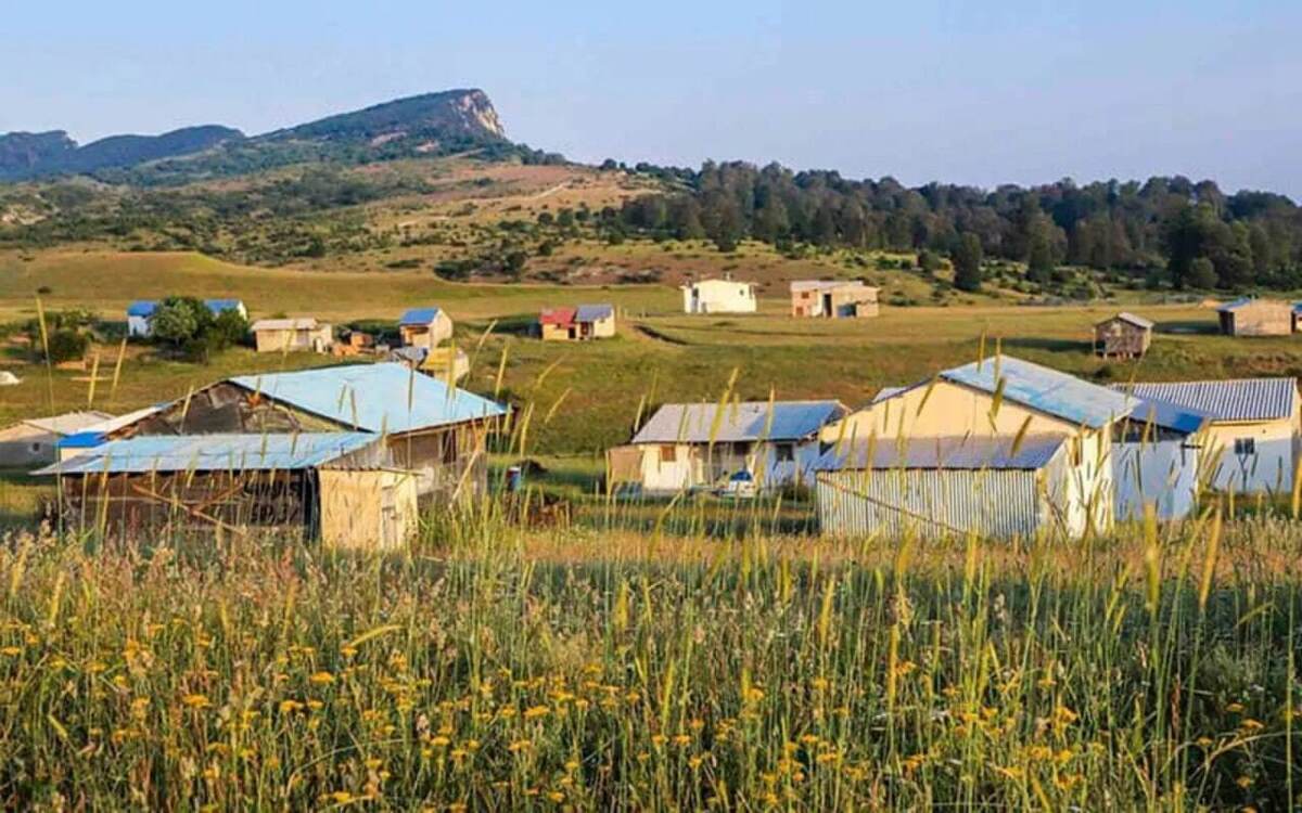 ایستگاه بازرسی دستگاه قضایی در ورودی منطقه حفاظت‌شده در جنگل هیرکانی