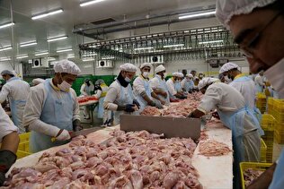 صنعت غذا زیر ذره‌بین مجلس| آریایی‌نژاد: نظارت‌ها کافی نیست +فیلم