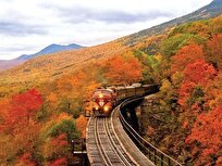 علم‌سنجی در خدمت گردشگری؛ چرا دانشجویان هنوز ظرفیت بازار کار این رشته را درک نکرده‌اند؟