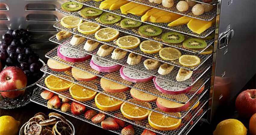 ضد خوراکیهای شیمیایی؛ فرمول طلایی ماندگاری محصولات باغی با تکیه بر دانش/ روسیه مشتری خرمالوی خشک شده تولیدکننده ایرانی ضد خوراکیهای شیمیایی؛ فرمول طلایی ماندگاری محصولات باغی با تکیه بر دانش/ روسیه مشتری خرمالوی خشک شده تولیدکننده ایرانی