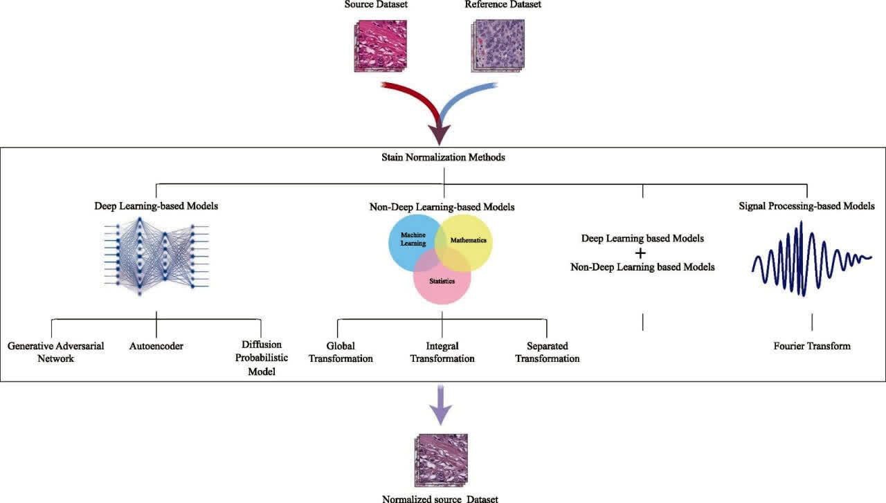 گام جدید محققان دانشگاه تهران در تحلیل دادههای زیستی و تصاویر پاتولوژی گام جدید محققان دانشگاه تهران در تحلیل دادههای زیستی و تصاویر پاتولوژی