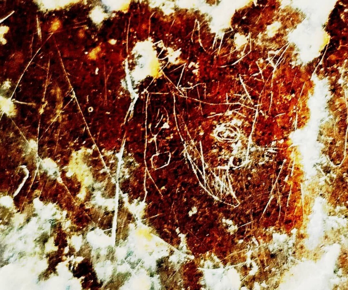 کشف نگاره‌ سوزنی یکی از شاهان ساسانی در صخره‌های شهر استخر