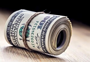 ارز ترجیحی ۲۰ میلیارد دلاری کجا رفت؟ پورابراهیمی: یارانه در جیب دلالان و ضرورت جایگزینی فوری با کالابرگ