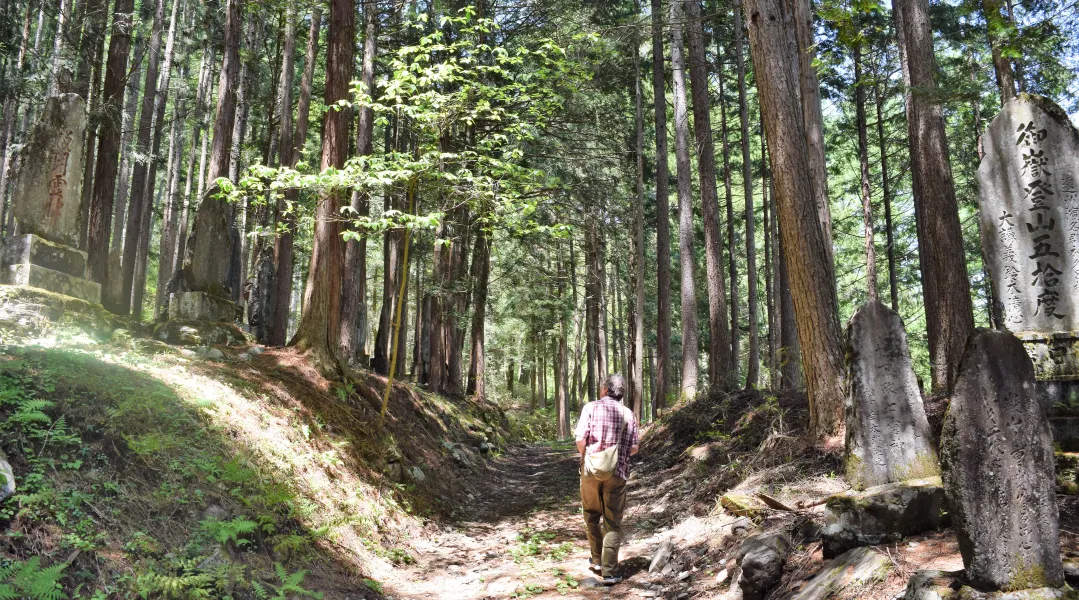 حمام جنگل حمام جنگل