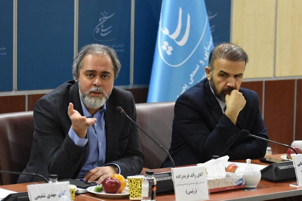 چهارمین جلسه کارگروه تخصصی شورای سینما برگزار شد  تأکید بر استفاده از ظرفیت‌های استانی برای حمایت از سینما