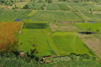 خلع ید بیش از ۲ هزار هکتار از اراضی ملی مازندران