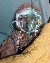 سخنان متاثر کننده رئیس بنیادشهید در توصیف شدت جراحات «کیان قاسمیان» + فیلم سخنان متاثر کننده رئیس بنیادشهید در توصیف شدت جراحات «کیان قاسمیان» + فیلم