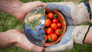 از بحران گردوغبار تا سیلاب ساحلی؛ ضرورت ظرفیت‌سازی دانش‌بنیان برای تأمین امنیت غذایی و آبی ایران