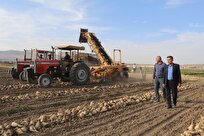 آغاز-برداشت-محصول-از-۱۱-هکتار-مزرعه-تحقیقاتی-دانشگاه-آزاد-مهاباد-فیلم