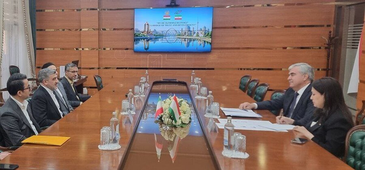 ایران و تاجیکستان خواستار توسعه همکاری‌های مشترک در حوزه بازار سرمایه شدند