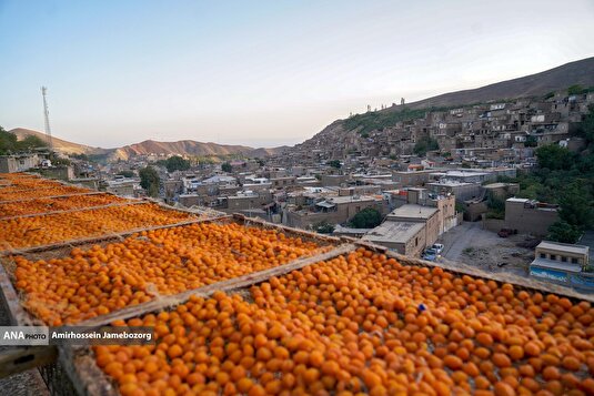 خُرو؛ پایتخت آلوی ایران