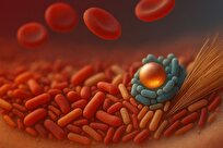 مکمل جدید آهن، کم‌خونی را بدون آسیب رساندن به روده درمان می‌کند