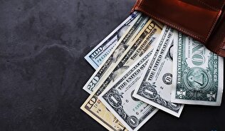 چرا ارز مسافرتی گران شد؟