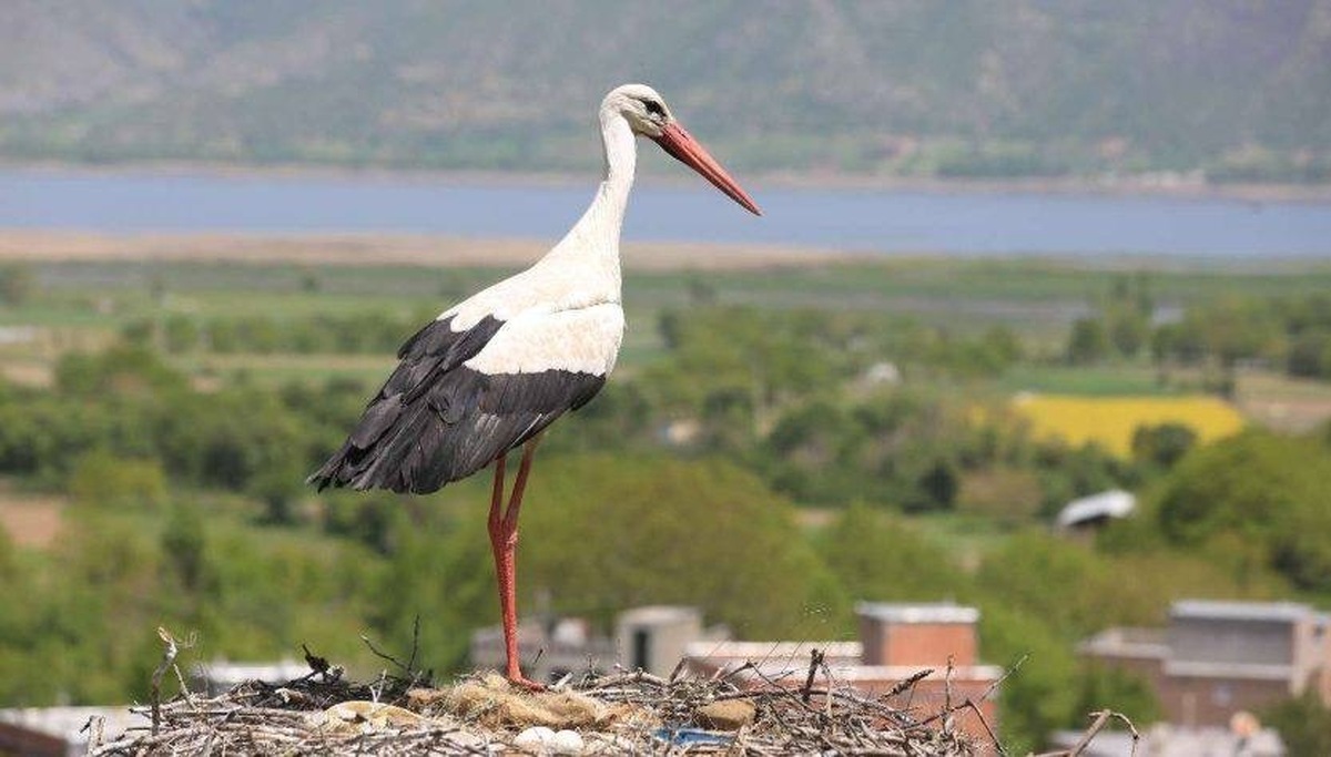 کردستان؛ استانی که با جشنهایش دل گردشگران را میرباید! کردستان؛ استانی که با جشنهایش دل گردشگران را میرباید!