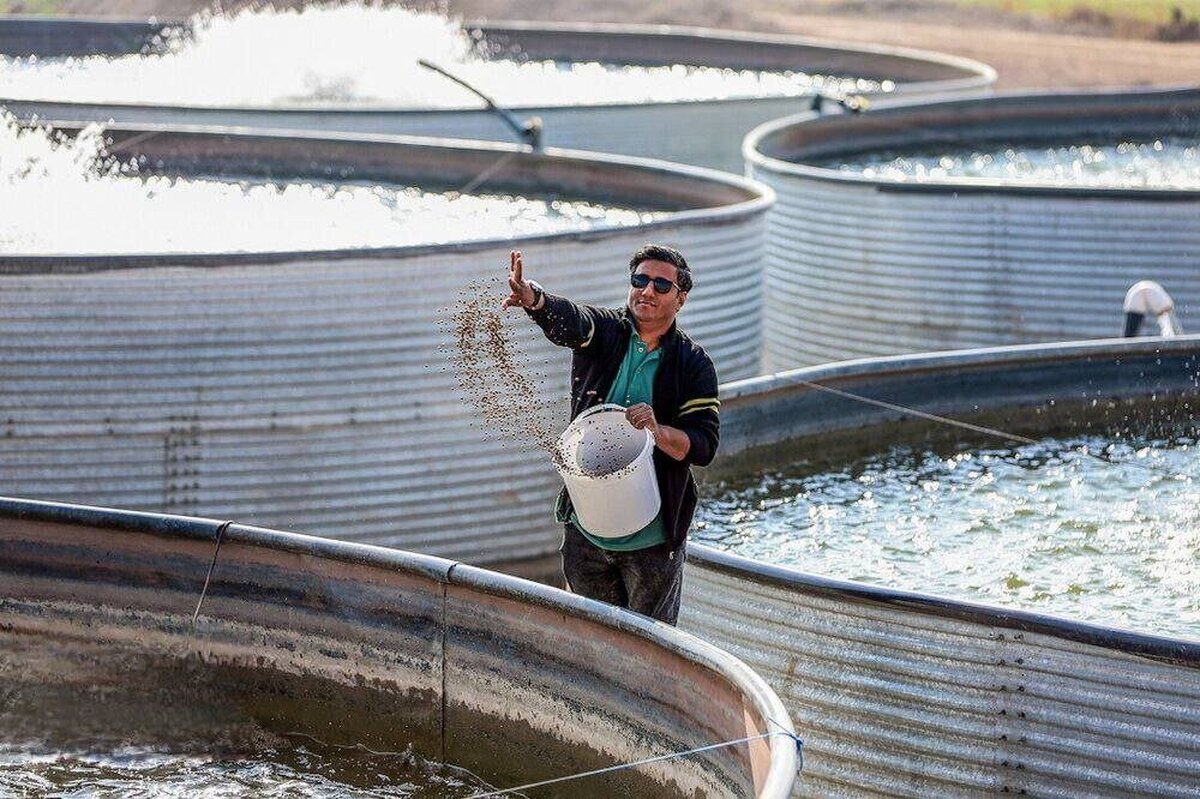 اجرای بیش از ۳۰ هزار طرح اشتغال‌زایی در مناطق محروم توسط ستاد اجرایی فرمان امام