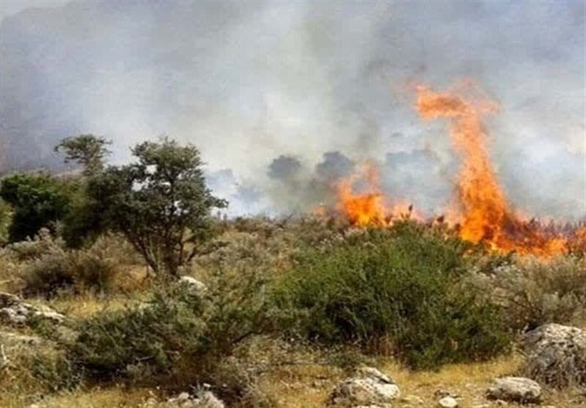 تیم‌های عملیاتی برای مهار آتش هیرکانی پا پس نکشیدند  چرا آتش دوباره سر برآورد؟