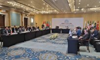 ایران در نشست D-۸: آمادگی برای گسترش کریدور‌های تجاری و همکاری‌های صنعتی منطقه‌ای