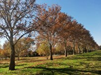 روی طبیعت «مکث» کنید