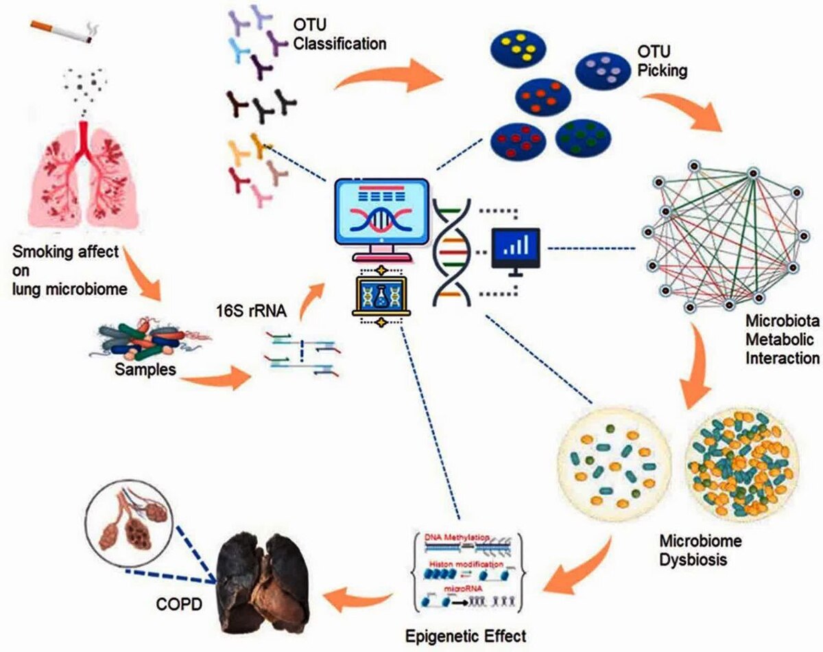 کشف تازه پژوهشگران دانشکدگان فنی دانشگاه تهران برای درمان بیماری مزمن ریه