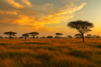 یافته تازه پژوهشگران درباره علفزار‌های گرمسیری هند کمک ادبیات به علم را نشان می‌دهد