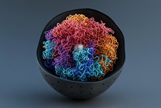 دانشمندان دقیق‌ترین تصویر را از درون قطرات DNA ثبت کردند