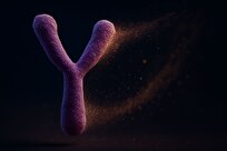 تحول-ژنتیکی-سرنوشت-کروموزوم-y-را-تهدید-می‌کند