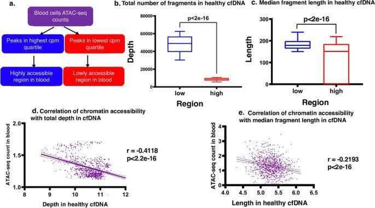 استنباط بیان ژن از خون با فناوری «EPIC-seq» در دانشگاه تهران