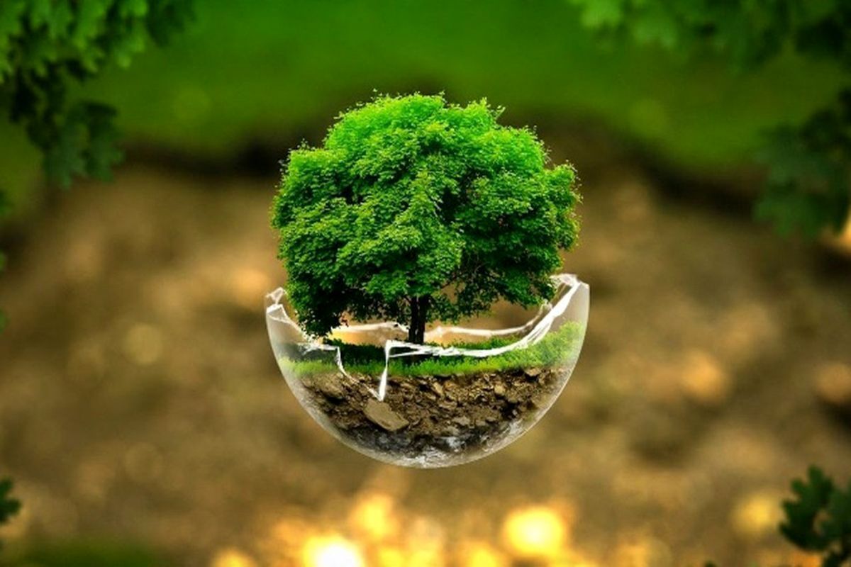 ضربه ۷۰۰ مگاواتی به خاموشی؛ بازار بهینه‌سازی انرژی تا ۱۴۰۶ خودگردان می‌شود