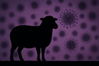 ویروس تب‌برفکی یک گله را در چند ساعت به زانو درمی‌آورد