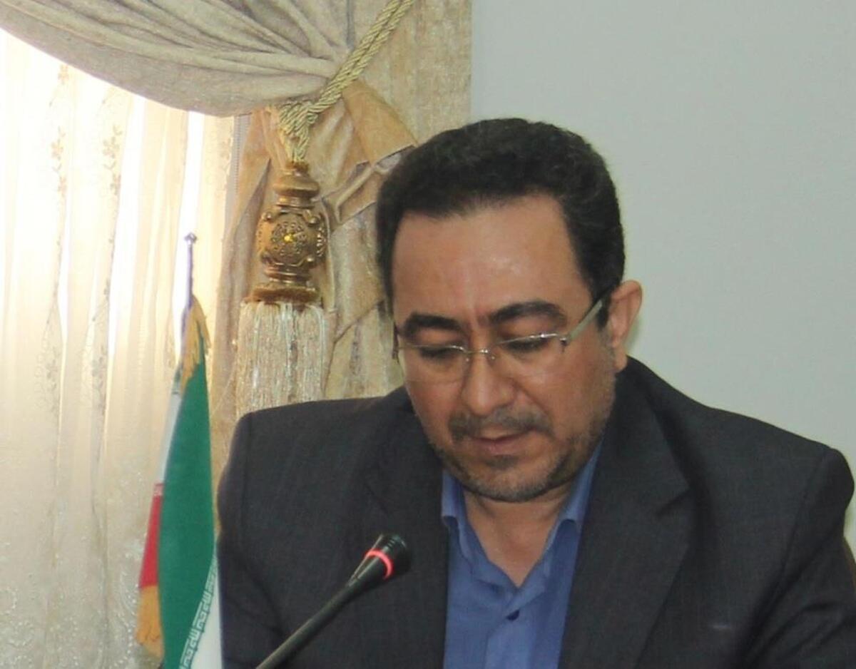 مدیرکل دبیرخانه شورای فرهنگ عمومی منصوب شد