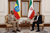 دیدار رئیس مجلس نمایندگان اتیوپی با عراقچی