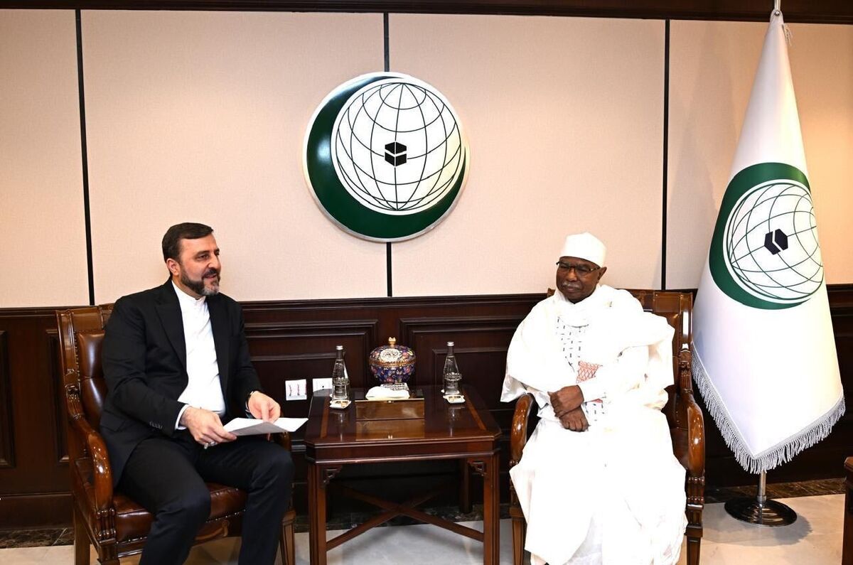 غریب‌آبادی: جنگ 12 روزه نشان داد اسرائیل دشمن امنیت منطقه است