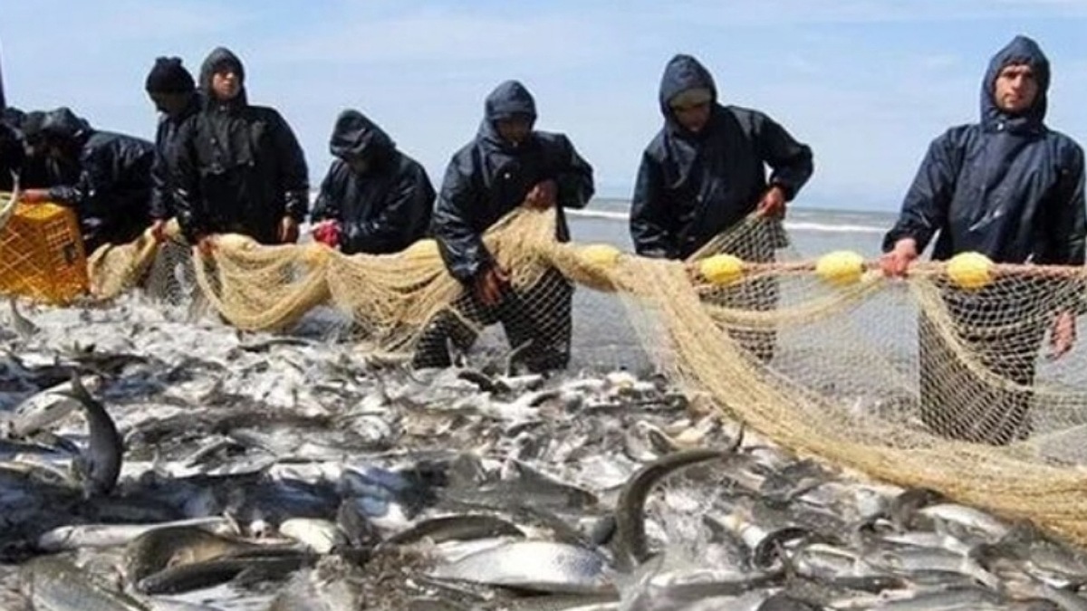 اجرای پروژه‌های بهسازی در ۱۷ بندر ماهیگیری کشور آغاز شد  ۷۰ بندر ماهیگیری فعال در کشور