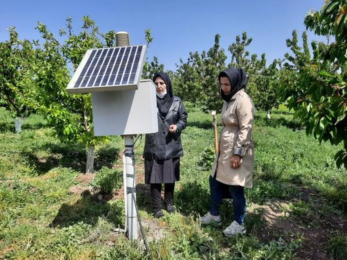 سامانه هوشمند پیش‌آگاهی آفات رونمایی شد  گذر از رویکرد حدسی به تصمیم‌گیری داده‌محور