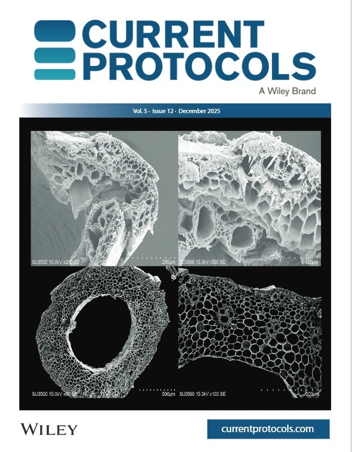 انتشار مقاله پژوهشگران دانشگاه شهید بهشتی در مجله معتبر Current Protocols