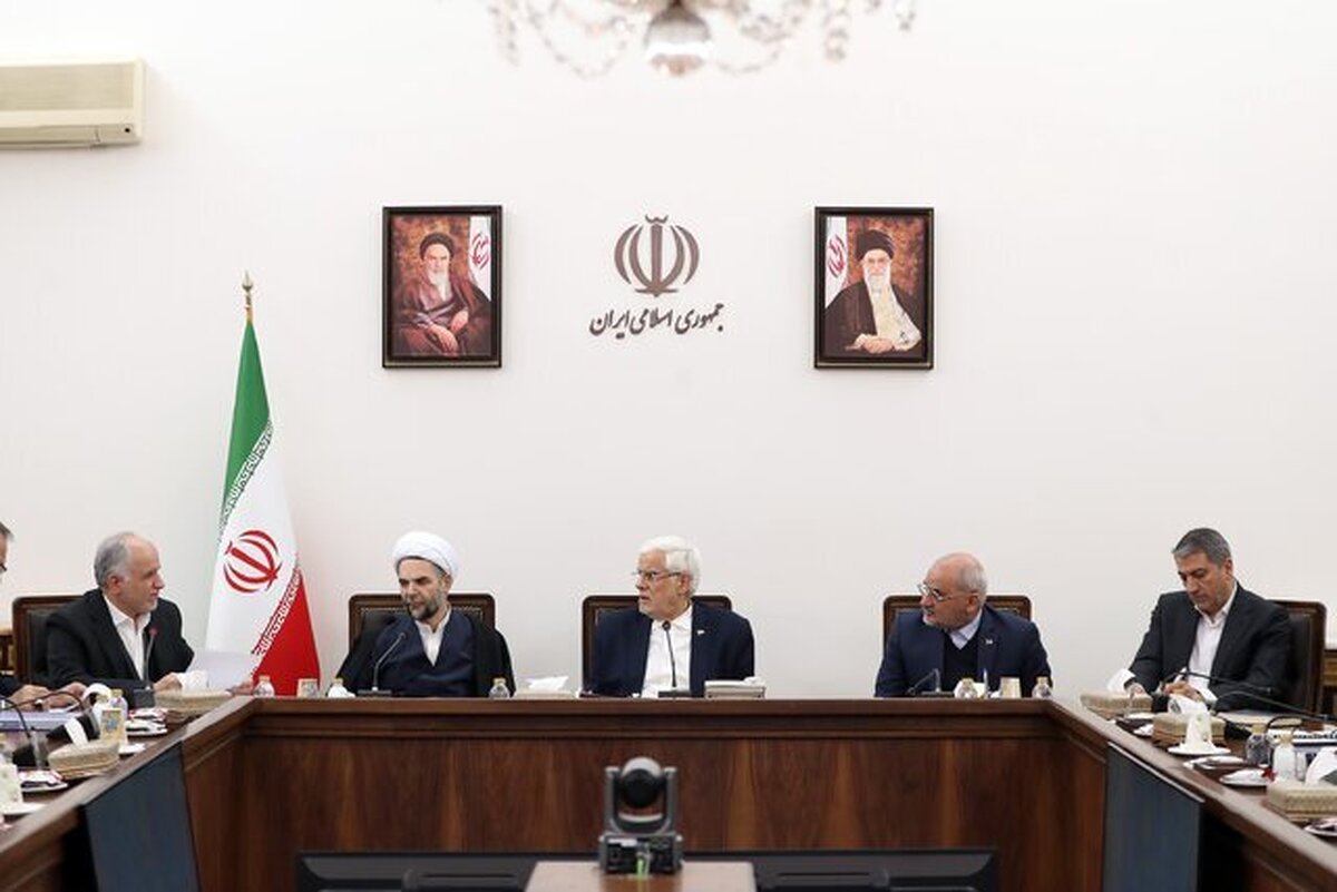 عارف: دولت با همکاری سایر قوا بدنبال حل مسائل معیشتی مردم است