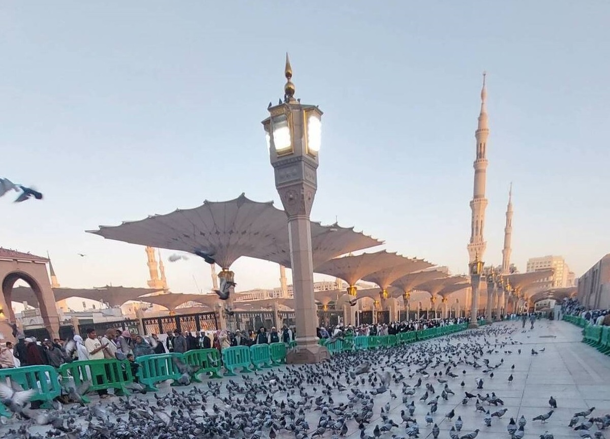 دانشجوی دانشگاه تهران: زیارت مکه و مدینه نقطه عطفی در ایمان و زندگی‌ام بود