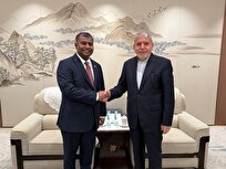 صالحی‌امیری: «ایران» شریک مطمئن میراثی، فرهنگی و گردشگری برای مالدیو است/ نصیر ابراهیم: «ایران» الگوی منطقه‌ای در میراث‌فرهنگی و همکاری‌های علمی است