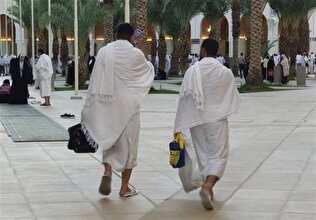 آغاز ثبت‌نام وام عمره دانشجویی برای هزار متقاضی