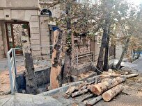 شهرداری منطقه یک: کلیپ قطع درختان باغ فردوس گمراه‌کننده بود