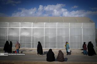 تولید ملی برای آبادانی مناطق محروم