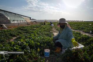 تولید ملی برای آبادانی مناطق محروم